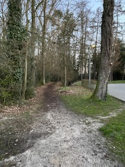 20230405 044545769 iOS