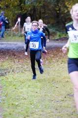 IMG-20231111-WA0005