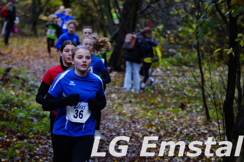 WhatsApp Bild 2023-11-11 um 17.47.20_349abb7c.jpg