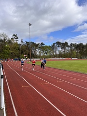 IMG 3613