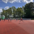 IMG 4204