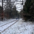 IMG 6209