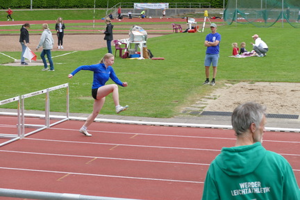 IMG 2479